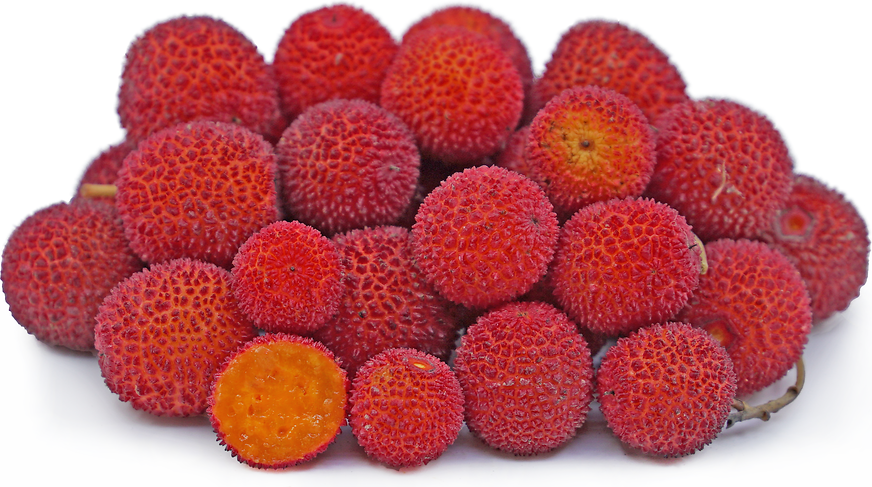 arbutus marina fruit