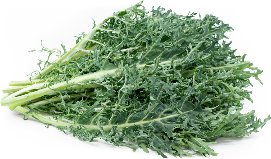 Siberian Kale picture