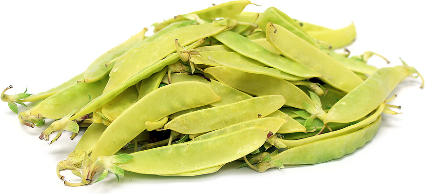 Golden Snow Peas picture