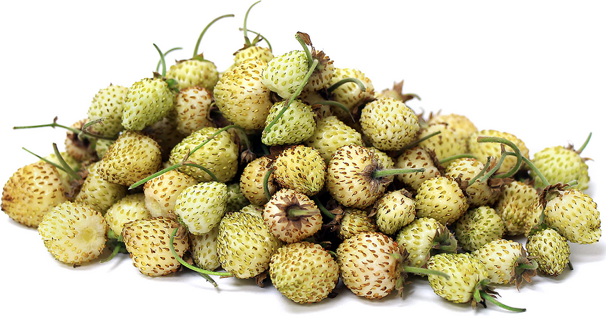 White Alpine Strawberries picture