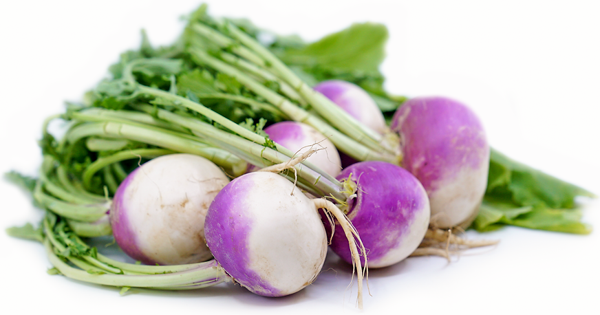 Turnips picture