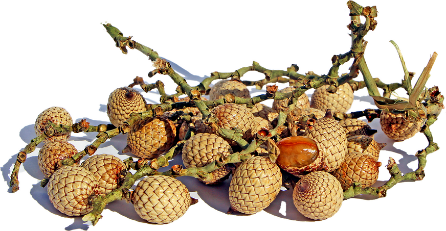 Rattan Fruit picture