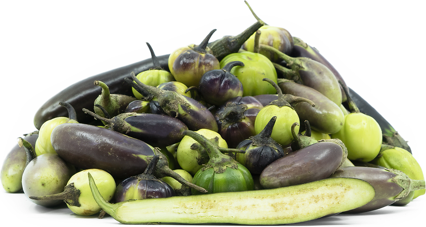 Indian Eggplants picture