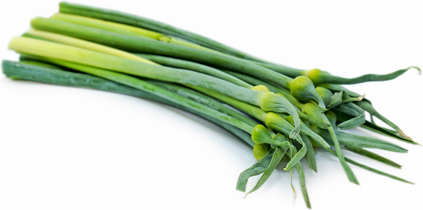 Leek Scapes picture