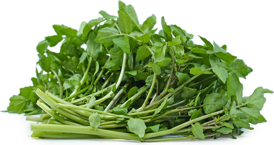 Foraged Wild Watercress picture