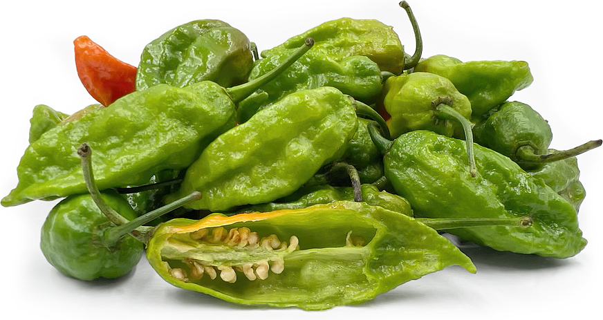 Raja Mirchi Chile Peppers picture