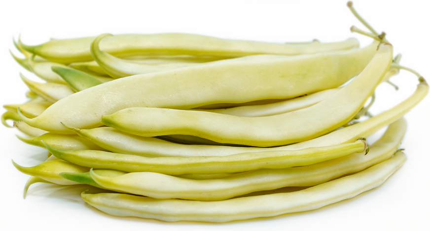 Yellow Romano Beans picture