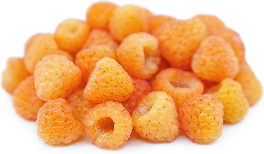 Sunshine Raspberries picture