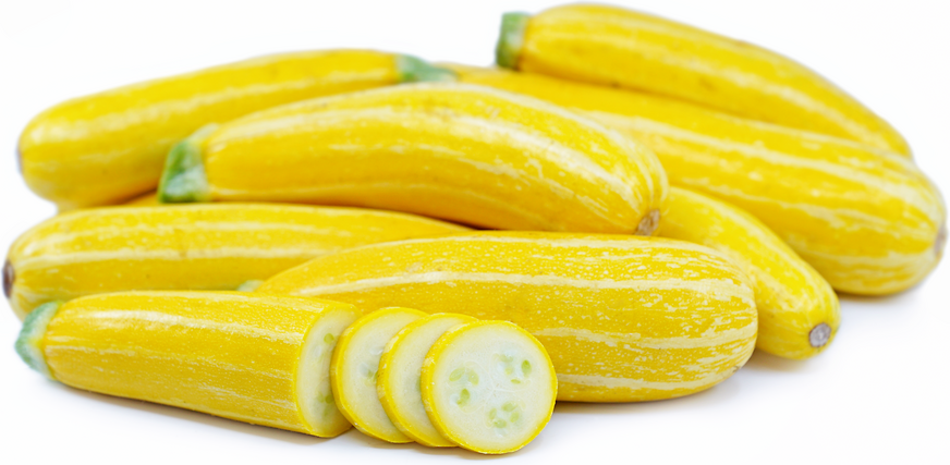 goldmine-zucchini-squash-information-recipes-and-facts