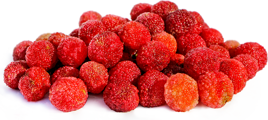 Red Bayberries picture