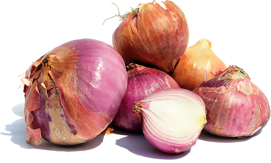 Pyaz Onions picture