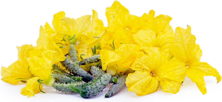 Miniature Cucumbers with Flowers picture