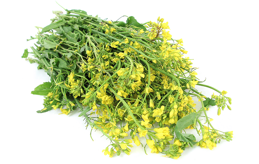 Rapini Flowers picture