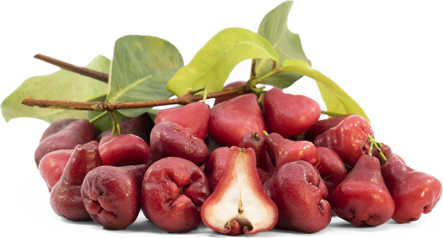 Hawaiian Mountain Apple picture