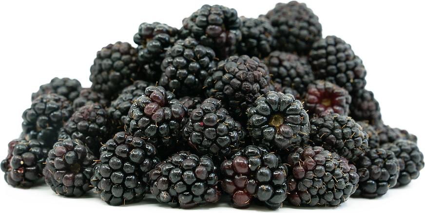 Marionberries picture