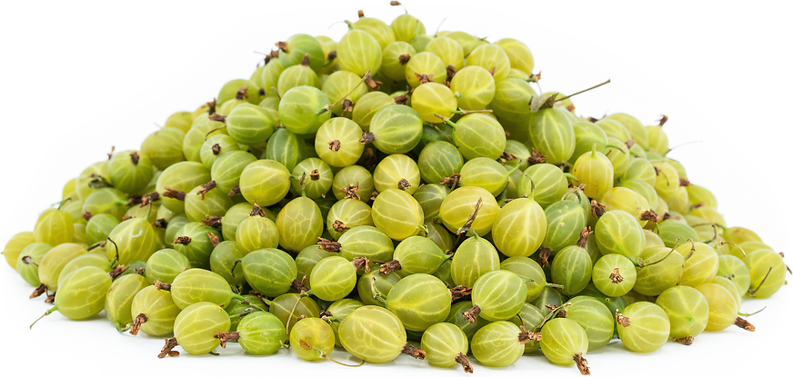 Green Gooseberries picture