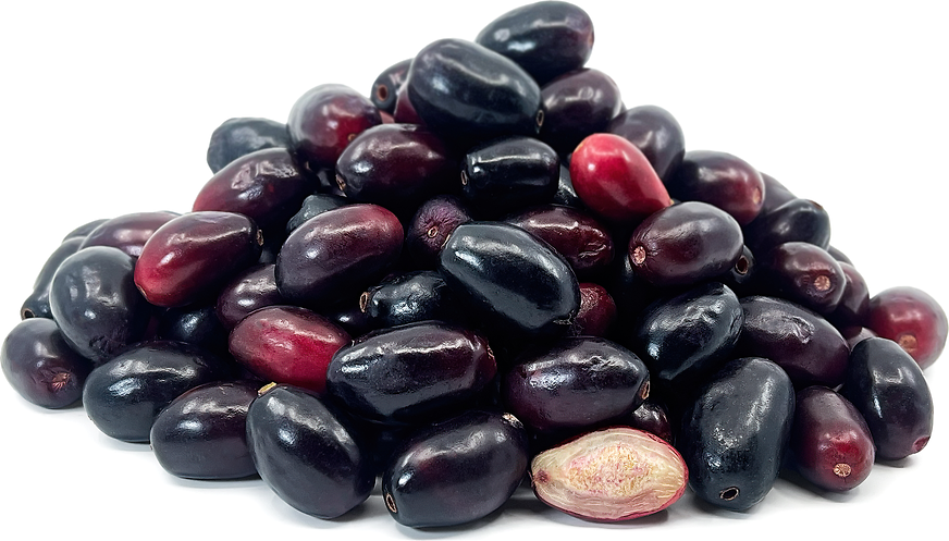 Jamun Information and Facts