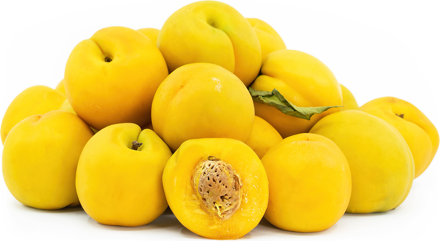 Mango Nectarines picture