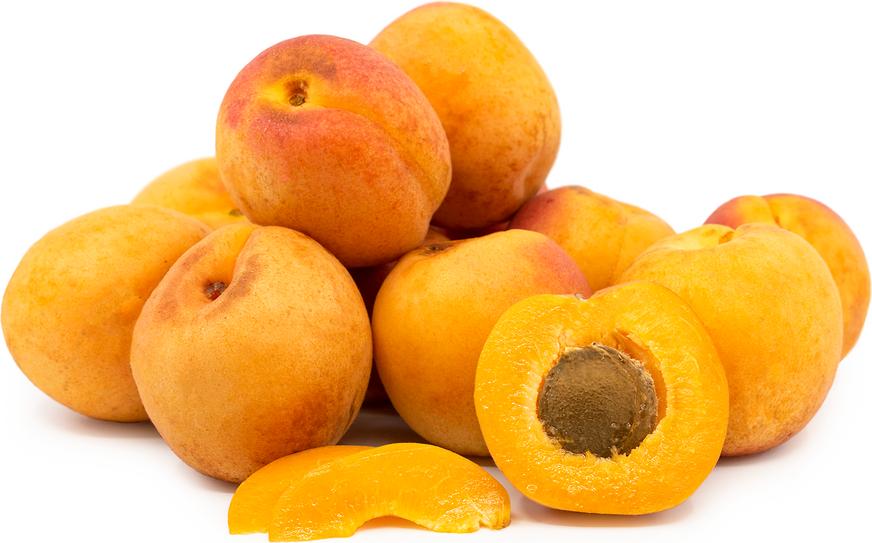 Bonny Royal Apricots picture