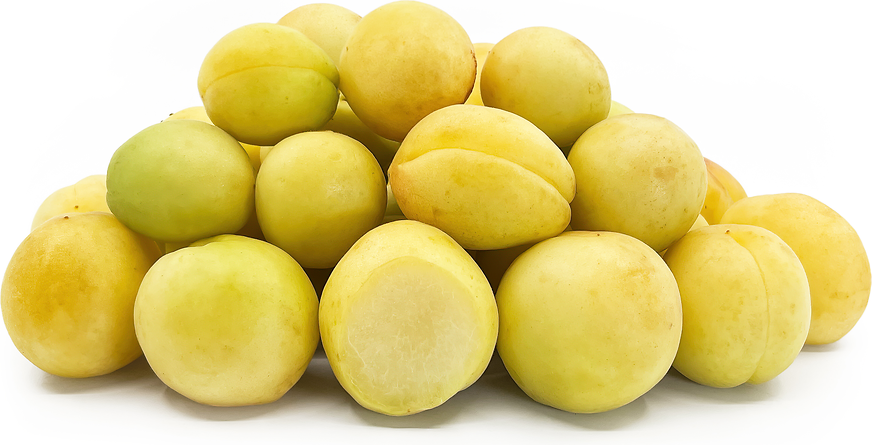 White Apricots picture