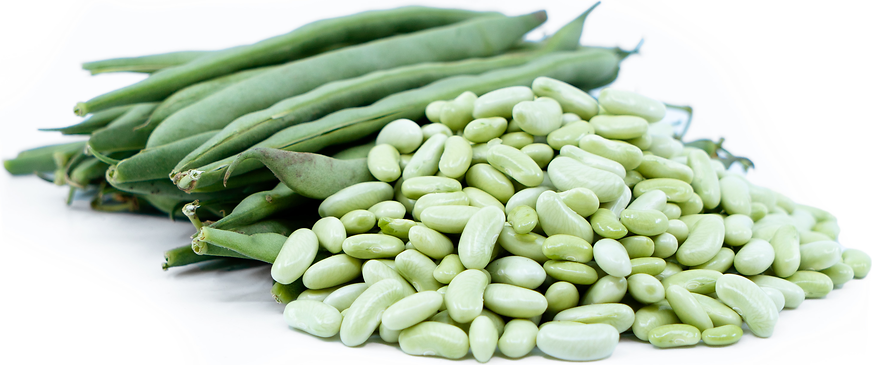 Flageolet Shelling Beans picture