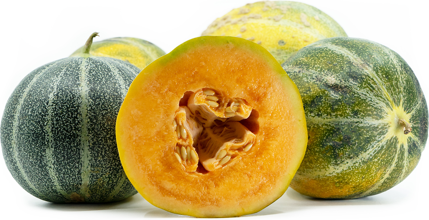 Petit Gris de Rennes Melon Information and Facts