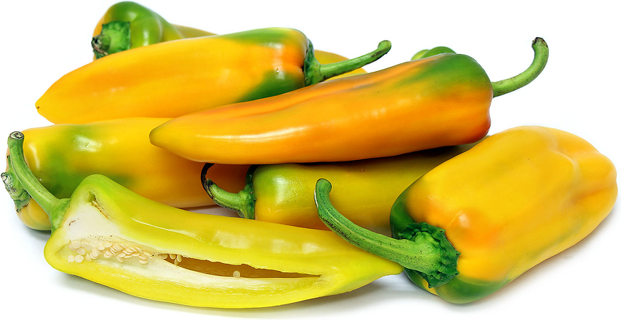 Golden Treasure Chile Peppers picture