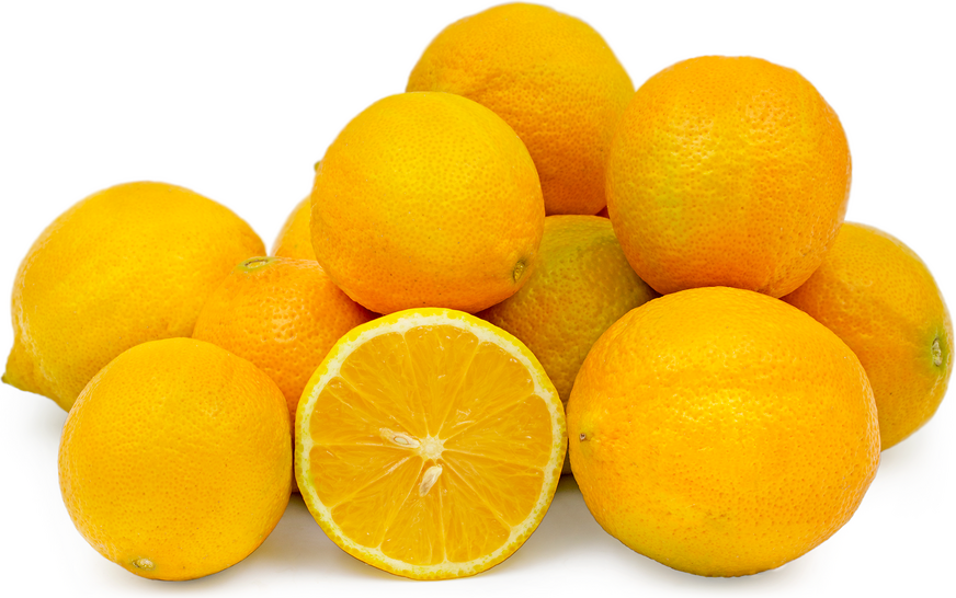 Golden Eureka Lemons picture