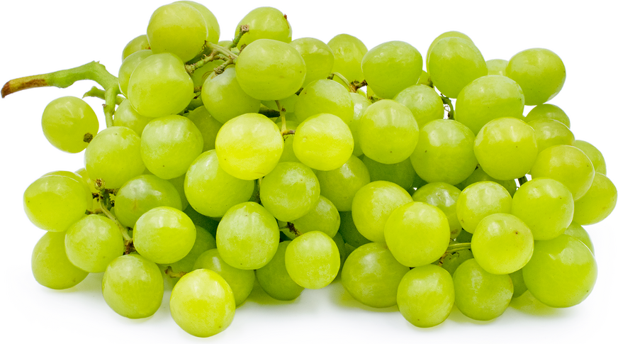 Princess Grapes picture