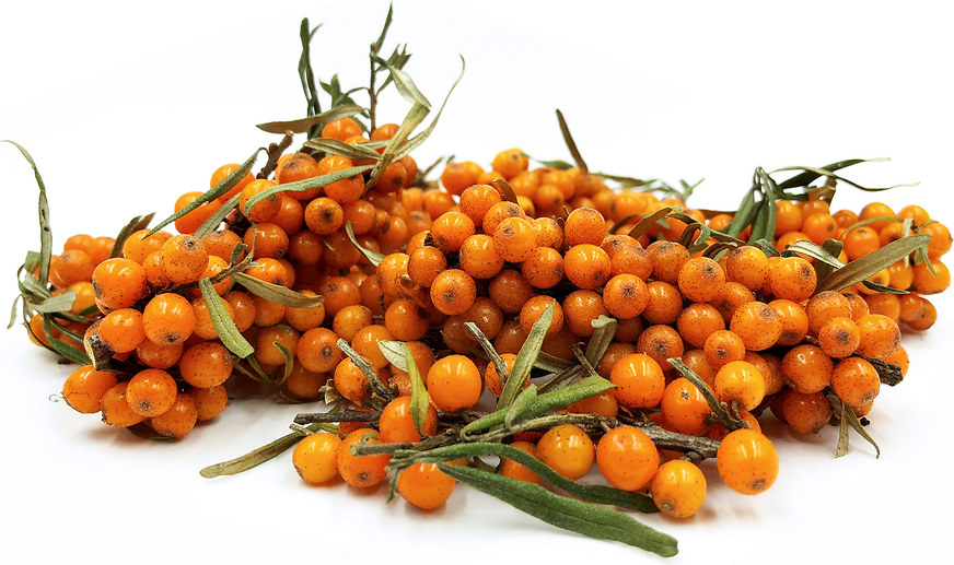 Sea Buckthorn Berries picture