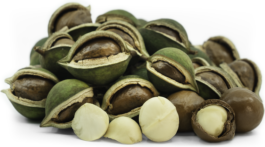 Green Macadamia Nuts picture