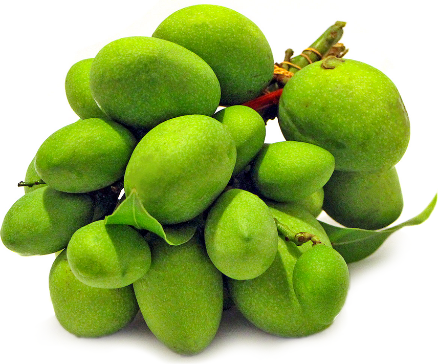 Mangga Information, Recipes and Facts