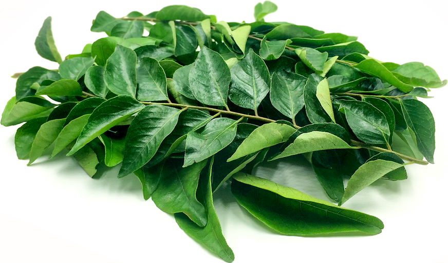 Curry Leaves picture