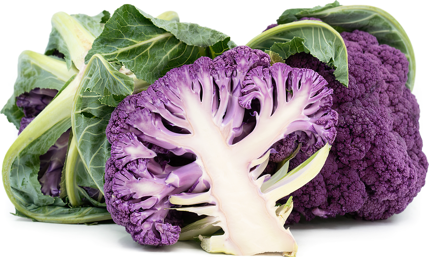 Purple Cauliflower