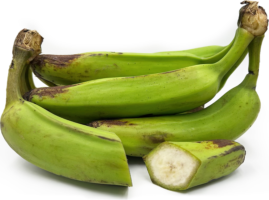 Raw green bananas on tree - Fresh long bananas on bunch in field tropical  fruit, Stock image