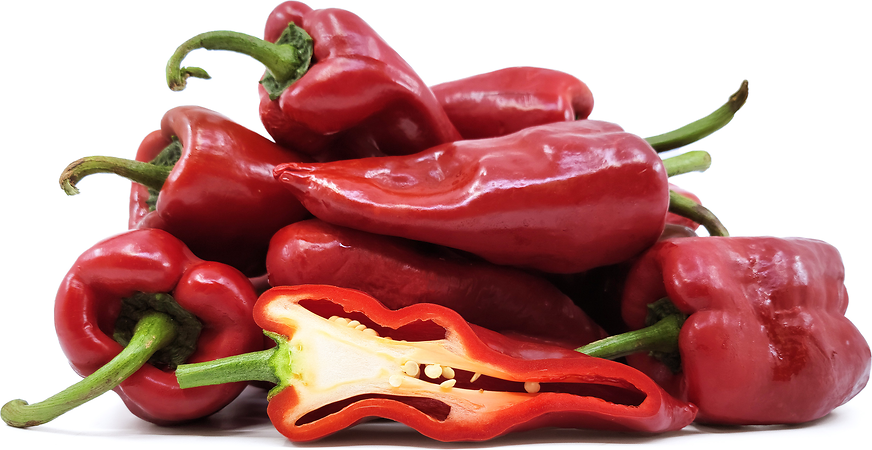 Red Pasilla Chile Peppers picture