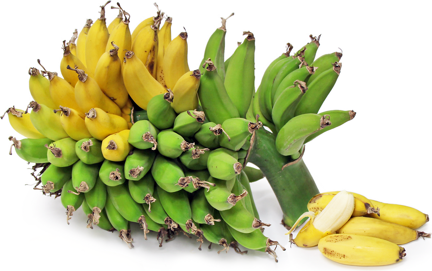 Rajapuri Bananas picture
