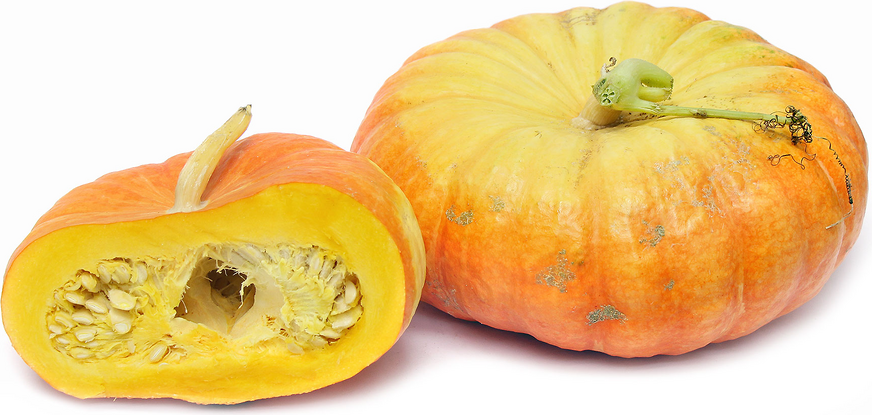 Rouge Vif D' Etampes Pumpkins picture