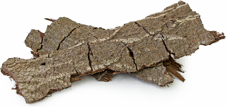 Oak Bark picture