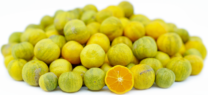 Variegated Calamondin Limes picture