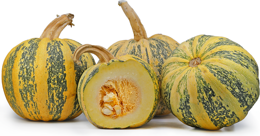 American Tonda Squash picture