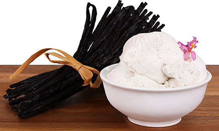 Organic Vanilla Island Ice Cream picture