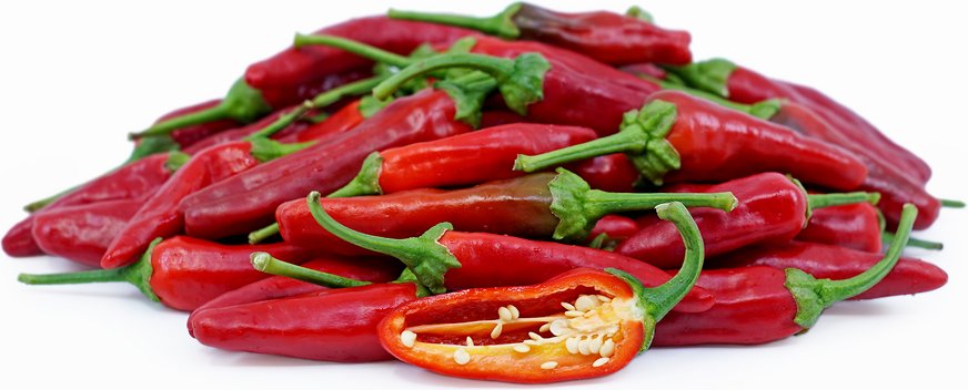 Evans Hot Chile Peppers picture