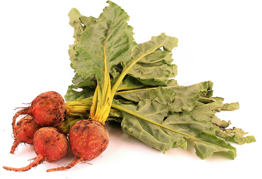 Baby Bunch Gold Beets picture