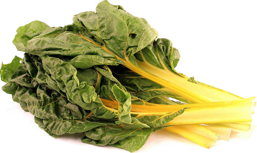 Golden Swiss Chard picture