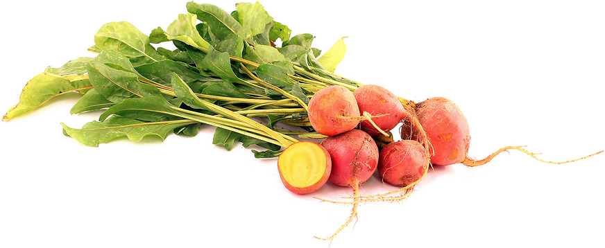 Gold Bunch Beets picture
