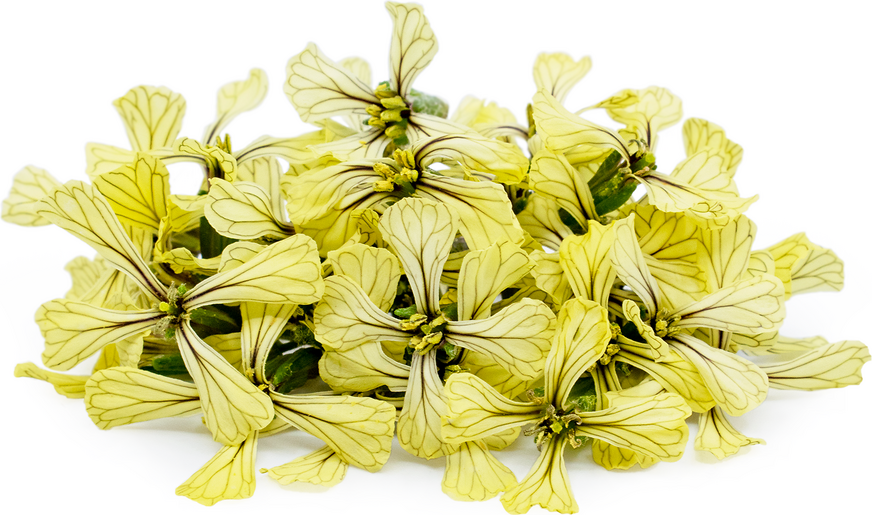 Arugula Blossoms picture