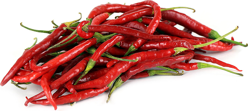 Red Arbol Chile Peppers picture