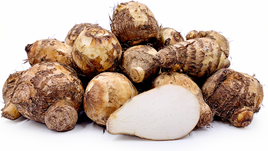 Arvee Roots (corms) Information and Facts