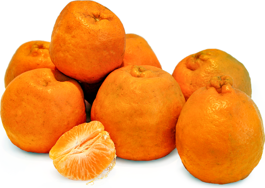 Satgudi Oranges picture